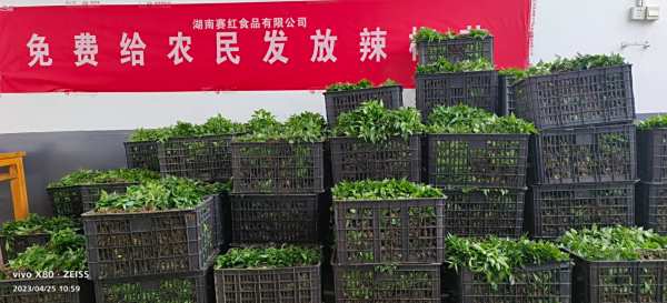 企業(yè)文化